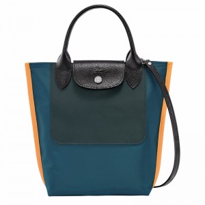 Longchamp Cabas Longchamp XS Muleposer Dame Påfugl Danmark | 10263093A56