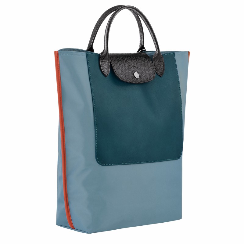 Longchamp Cabas Longchamp M Muleposer Dame Blå Danmark | 10264093427