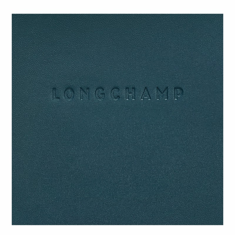 Longchamp Le FOULONNÉ Cover Dame Blå Danmark | 34200HFI806