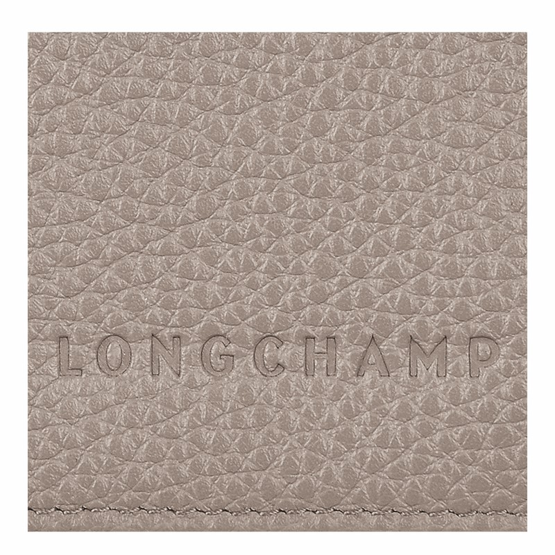 Longchamp Le FOULONNÉ Pasholder Dame Grå Danmark | L3416021P55