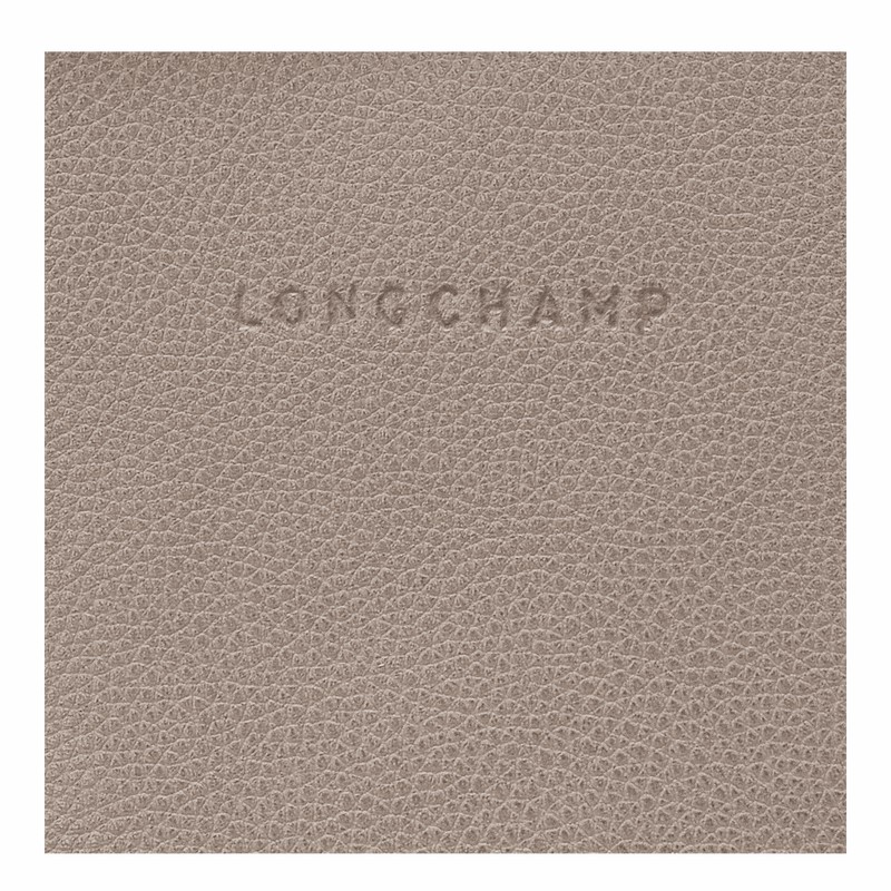 Longchamp Le FOULONNÉ Rygsække Dame Grå Danmark | 10195021P55