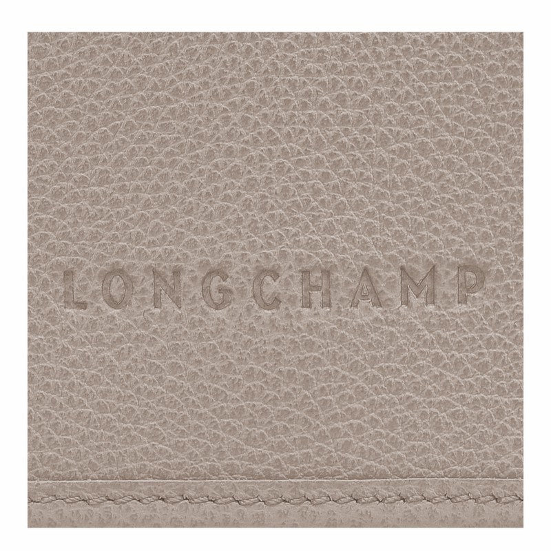 Longchamp Le FOULONNÉ XS Clutch Dame Grå Danmark | 10133021P55