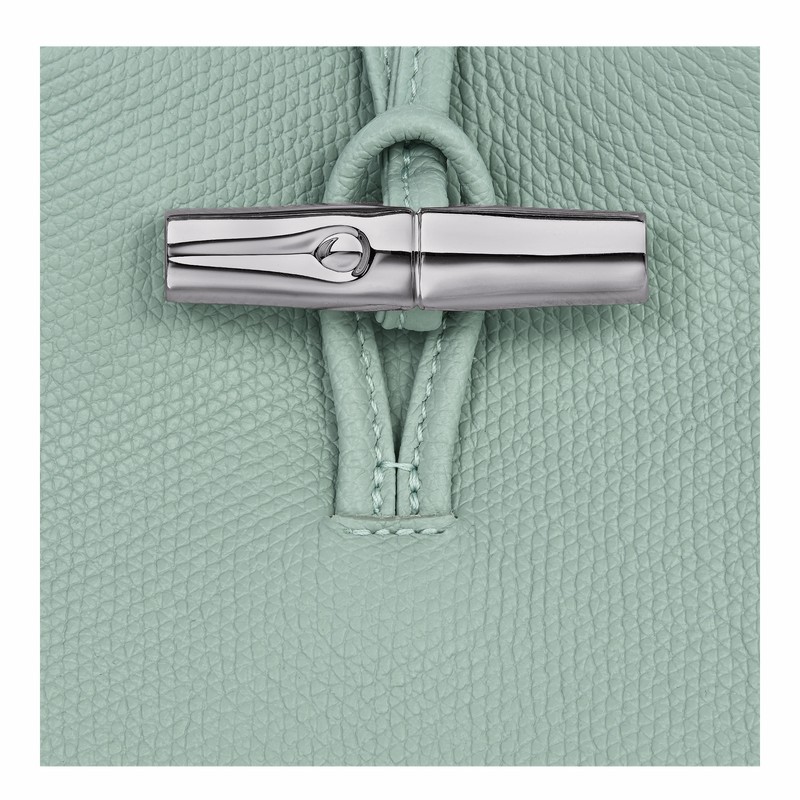 Longchamp Le Roseau Cover Dame Celadon Danmark | 34180HFP282